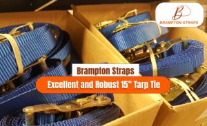 Brampton Straps_ Excellent and Robust 15″ Tarp Tie